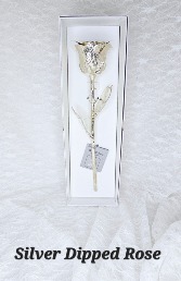 All Silver Rose 