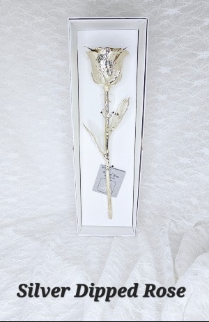 All Silver Rose 