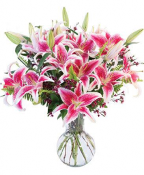 All Stargazer lillies Vase