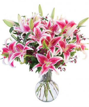 All Starglazer lillies Vase