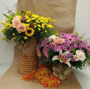 All the Autumn Fresh Festival Hardy Mum in Springfield, MO | FLOWERAMA #226 All the Autumn Fresh Festival Hardy Mum in Springfield, MO | FLOWERAMA #226