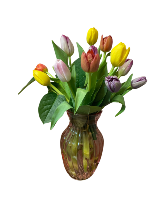 All Tulips Flower Arrangement