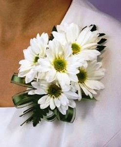 ALL WHITE DAISIES CORSAGE OR WRISTLET