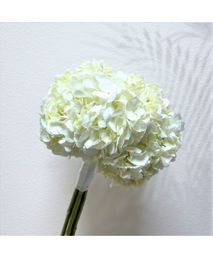 All White Hydrangea Bridal Bouquet