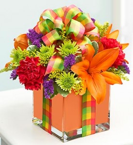 All Wrapped Up - Orange Cube Arrangement