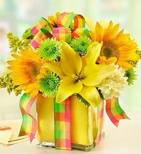 All Wrapped Up - Yellow Cube Arrangement