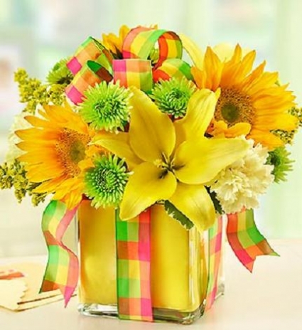 All Wrapped Up Yellow 	 Cubed Arrangement