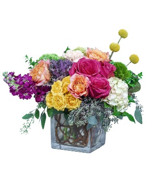 Allegiance Arrangement