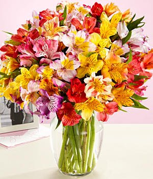 Alluring Alstro Floral Arrangement in Winston Salem, NC | RAE'S NORTH POINT FLORIST INC. Alluring Alstro Floral Arrangement in Winston Salem, NC | RAE'S NORTH POINT FLORIST INC.