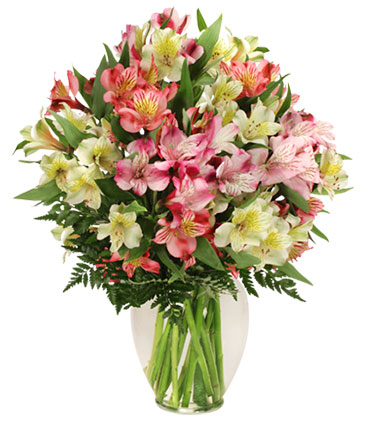 Alluring Alstroemeria Arrangement in Kings Mountain, NC | FLOWERS BY THE FALLS