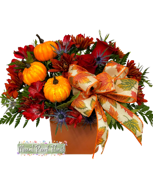Alluring Autumn Mount Pearl Florist Design