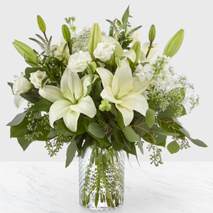 ALLURING ELEGANCE SPRING