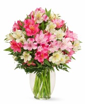 Alluring Love Lily Valentine's Day