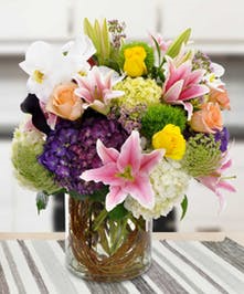 ALLURING SURPRISE!! COMPACT SPRING