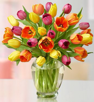 Alluring Tulips Floral Arrangement in Winston Salem, NC | RAE'S NORTH POINT FLORIST INC. Alluring Tulips Floral Arrangement in Winston Salem, NC | RAE'S NORTH POINT FLORIST INC.