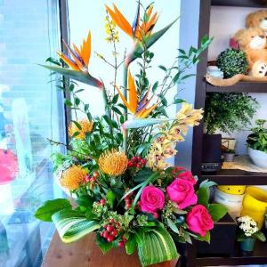 Aloha! Exotic Tropicals tropical arrangement