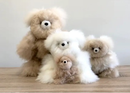 Alpaca Stuffies Gift