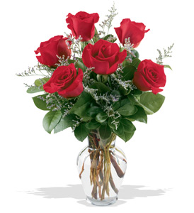 6 RED ROSE VASE 