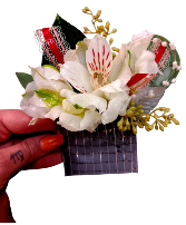 Alstro pocket  Pocket square- must have a full pocket 