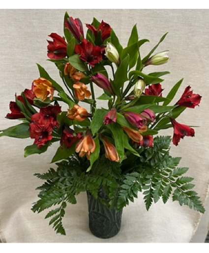 Alstroemeria - 7 Stems $25 Option