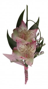 Category Image