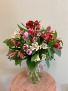 Alstroemeria Love 