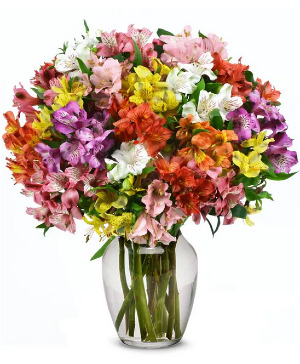 Alstromeria Bright and Beautiful Fresh Floral Arrangement