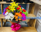 ALTA MIXTO FLOWERS 
