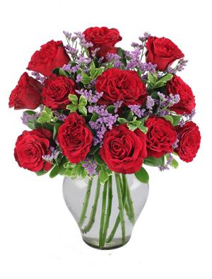 Classic Dozen Roses Red Rose Arrangement in Bracebridge, ON - CR Flowers &  Balloons ~ A Bracebridge Florist