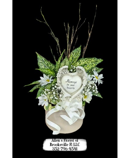 Always In Our Hearts Dish Garden  Live Plant Mixture 