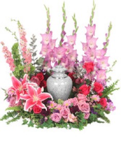 Category Image