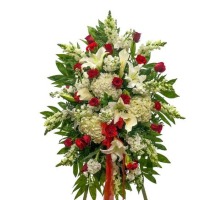 Always Loved Standing Spray 