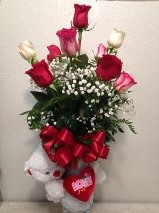 ALWAYS ON MY MIND Dozen Roses & Bear