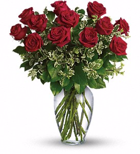 Long Stemmed Red Roses 