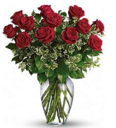 Category Image