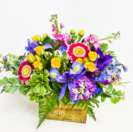 Bright and Cheerful Mix Designers Choice 