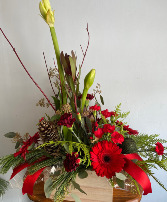 Amarylis Surprise  Arrangement