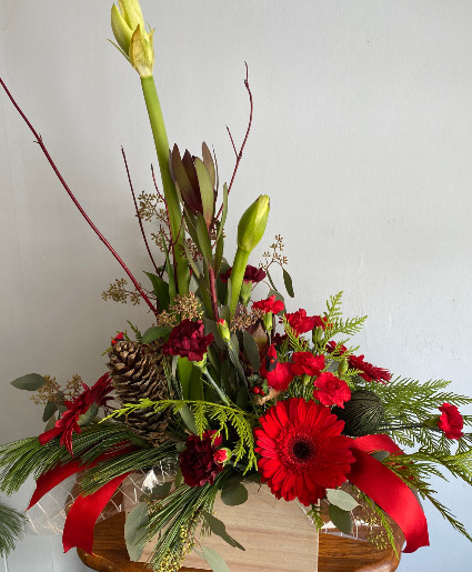 Amarylis Surprise  Arrangement