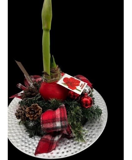 Amaryllis arrangement table arrangement