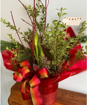 Amaryllis Holiday Planter Arranged Planter in Port Stanley, ON | Flowers By Rosita