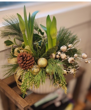 Amaryllis Planter  in Dushore, PA | Franklin's Small Town Flowers