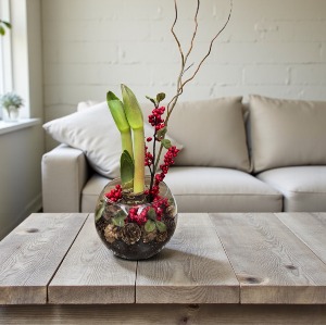 Amaryllis  SCF Original - Designed By Kim