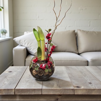 Amaryllis  SCF Original - Designed By Kim