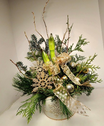 Amaryllis Suprise Long Lasting Floral Arrangement in Allegan, MI | Allegan Floral and Gifts