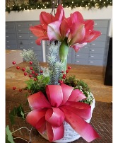 Amaryllis with frosty fern and ivy plant Blooming plant