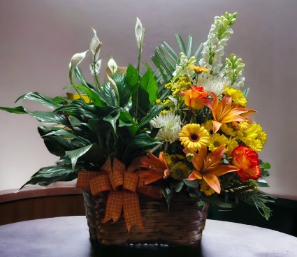 Amaya Plant and Flower Basket
