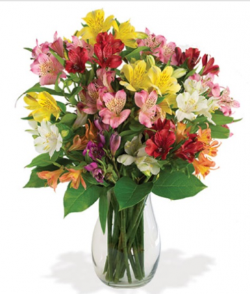 Amazing Alstroemera Vase