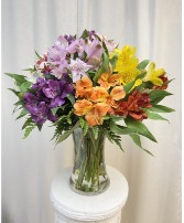 Amazing Alstroemeria  