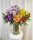 Amazing Alstroemeria  
