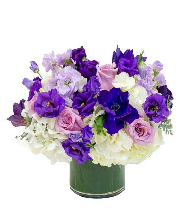 Amazing Amethyst Mother's day, Anniversary, Birthday in Oakland Park, FL | Eva's Flowers & Gifts